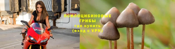 гашиш Алзамай