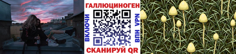 Галлюциногенные грибы GOLDEN TEACHER  Бодайбо 