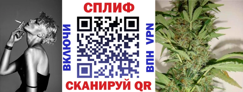 Бошки Шишки конопля  Бодайбо 